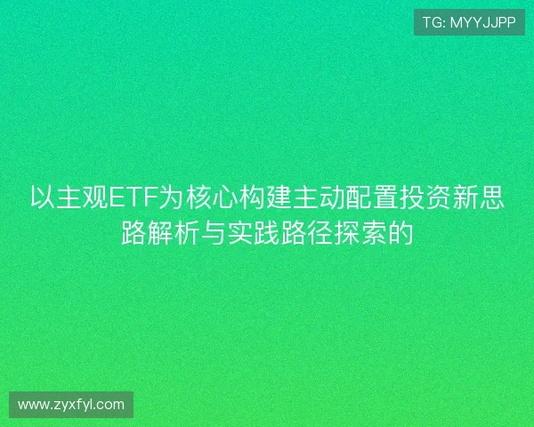 以主观ETF为核心构建主动配置投资新思路解析与实践路径探索的